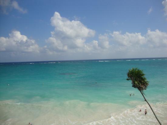 Delphinus Punta Cancún
